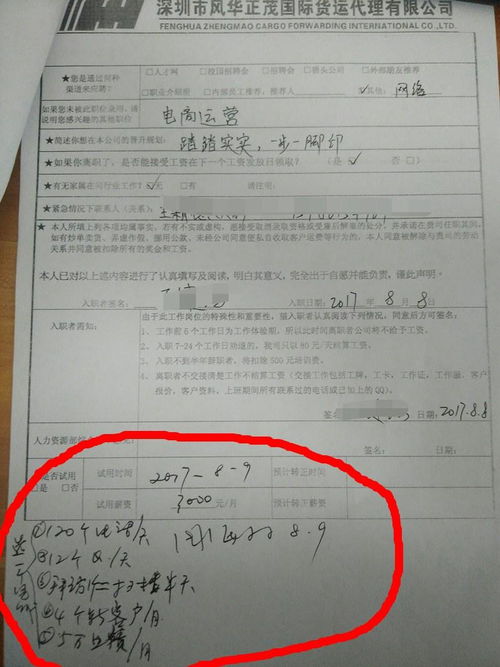 國際貨運代理公司 行業洞察與職業前景分析